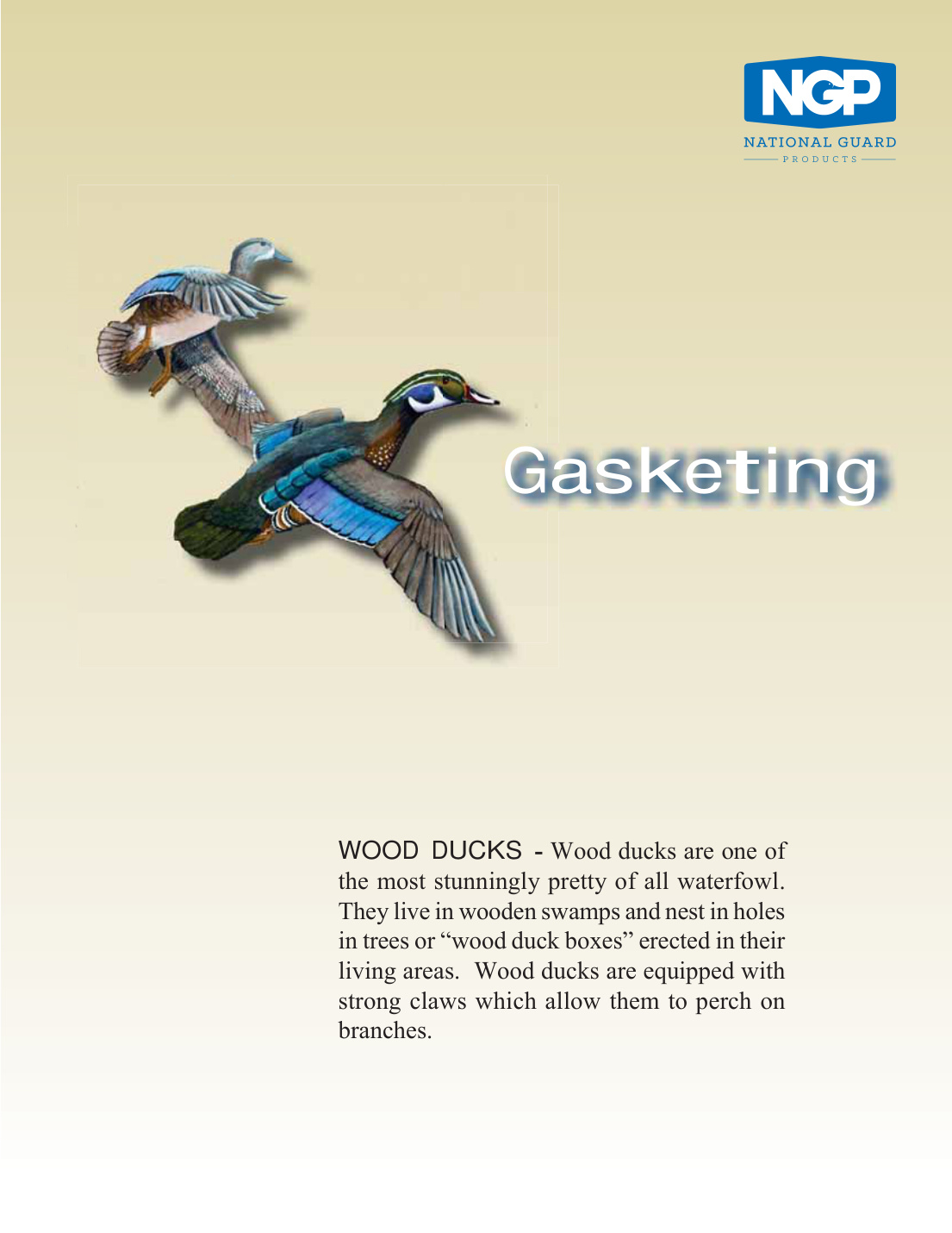 First page of NGP Gasketing Catalog 011020