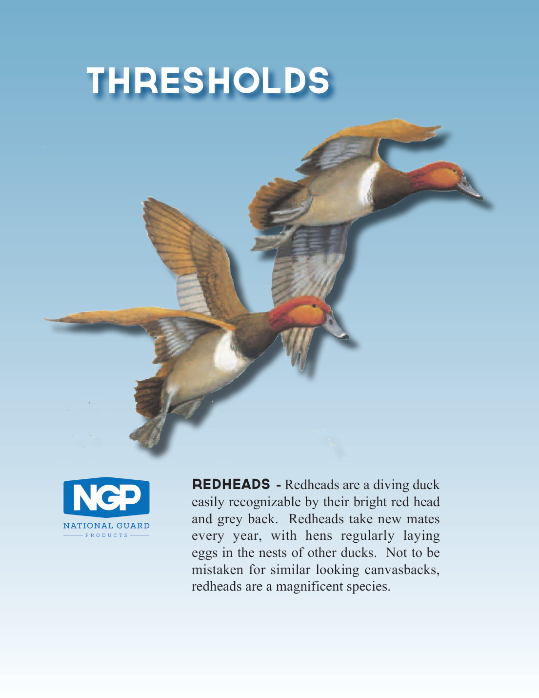 First page of NGP Thresholds Catalog 100619